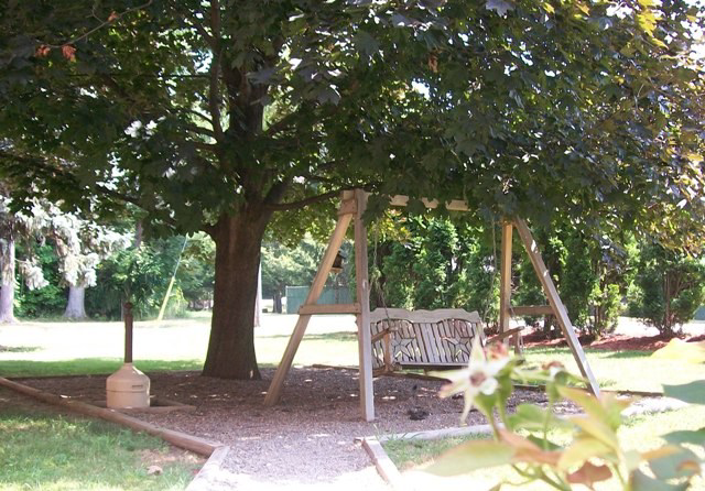 Backyard swing at a residence